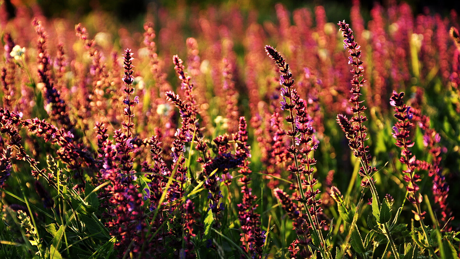 《2025英雄联盟全球总决赛,G2团队实现历史性夺冠》,英雄联盟2029全球总决赛冠军是谁