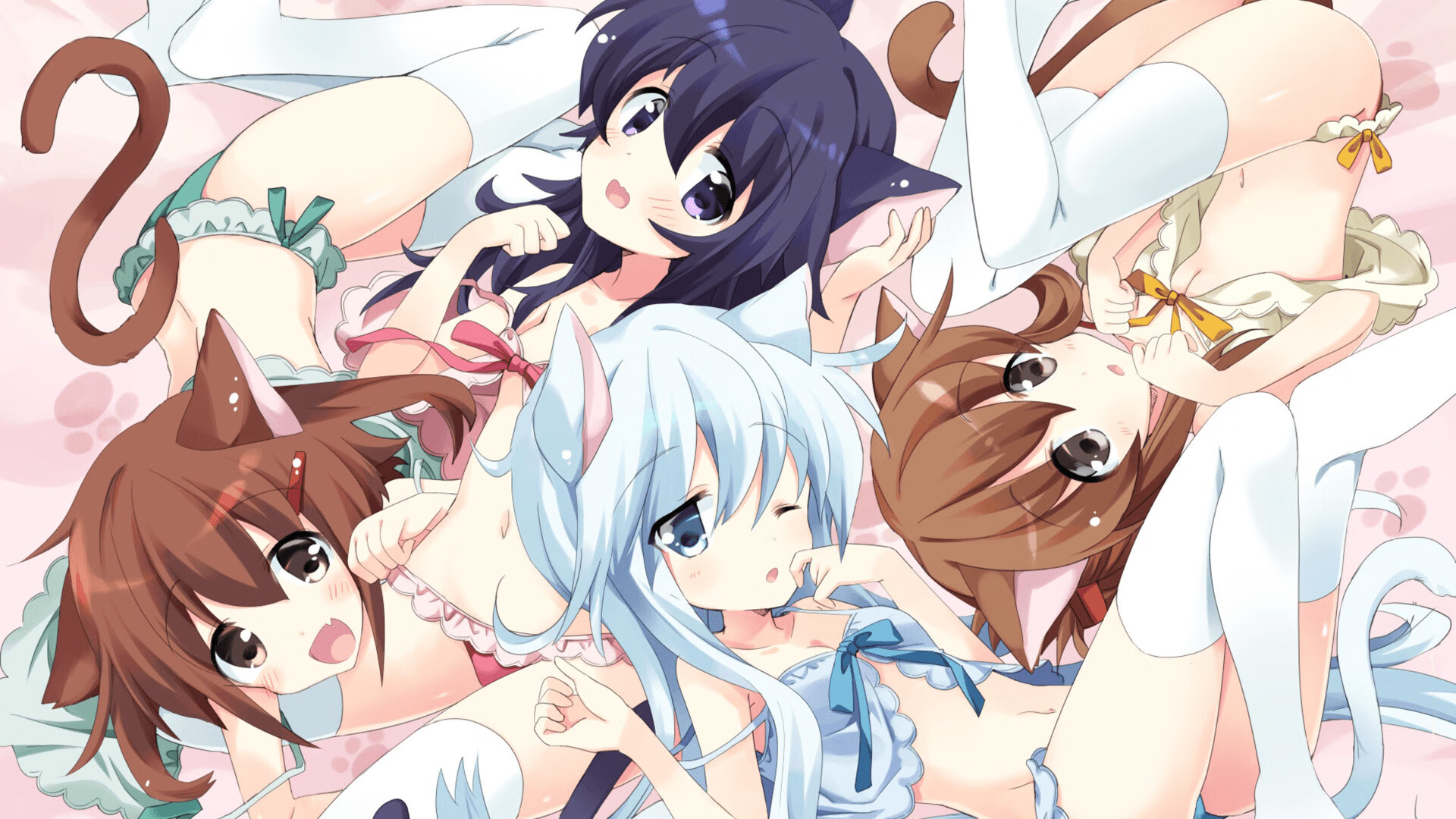 以球会友：全国各地足球嘉年华盛大开启，足球嘉年华活动报道