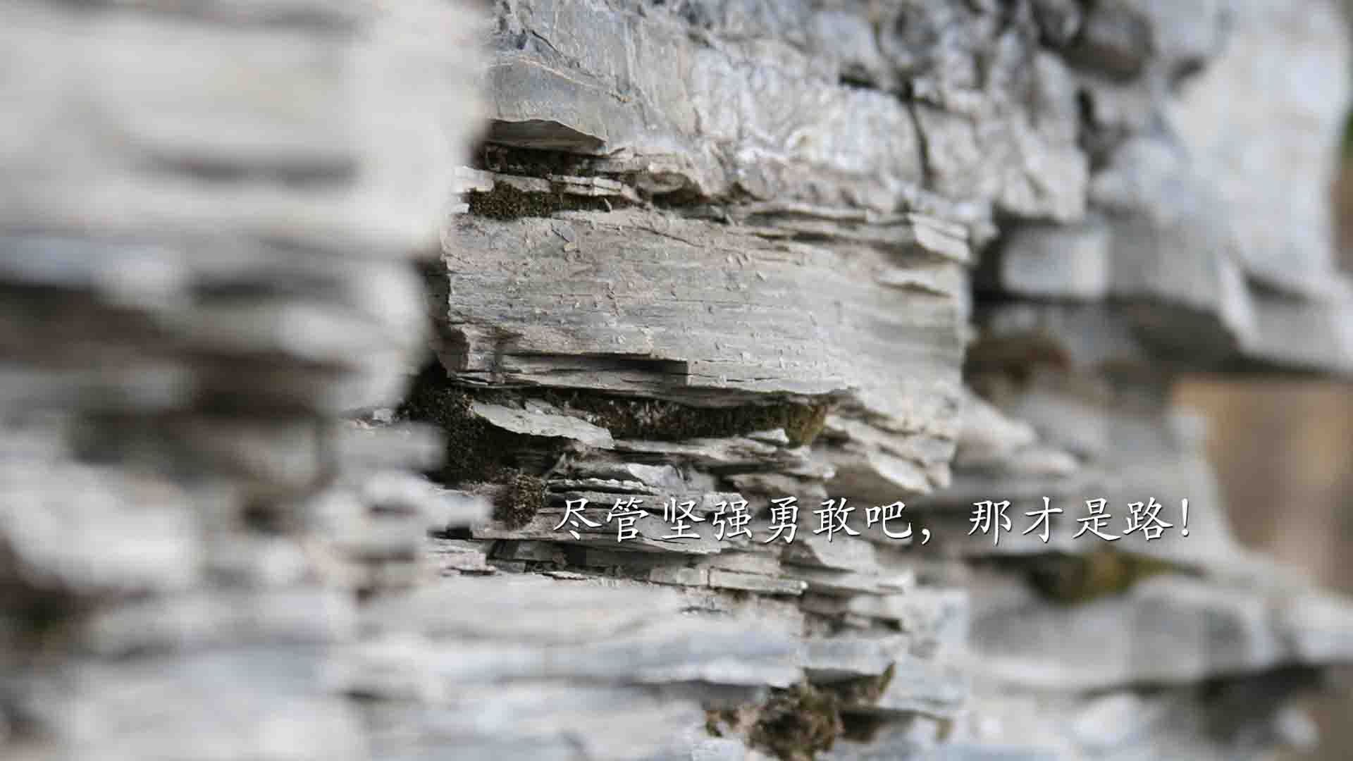 史上最高潮的季后赛逆转，你还记得哪个瞬间？，史上最高潮的季后赛逆转,你还记得哪个瞬间