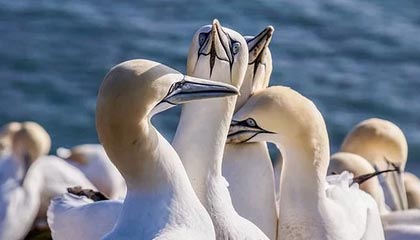 开云体育中国官网-朱婷助球队拿下关键战女排世界杯，朱婷女排吧 朱婷个站