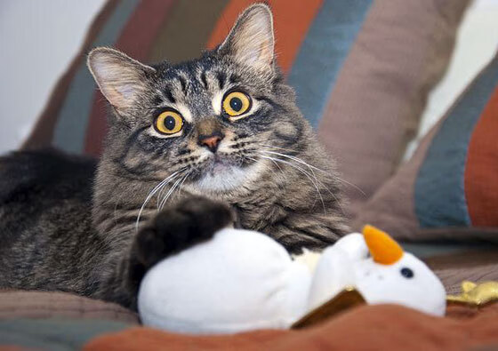 开yun体育-全国青少年“篮球公益行”走进湖南边远山区，湖南省篮球之乡