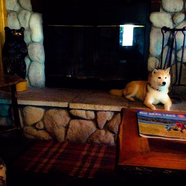 全民足球运动推广活动持续火热，惠及千家万户，全民足球手游